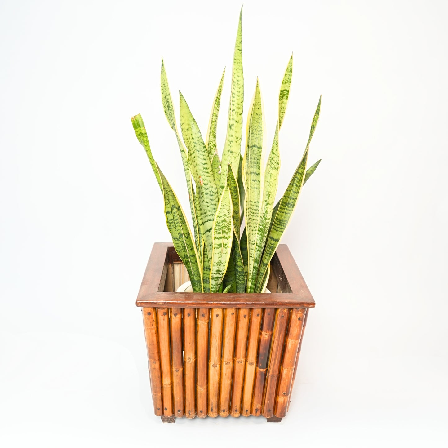 PANEL PLANT POT